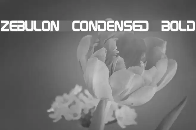 Zebulon Condensed Bold Font examples
