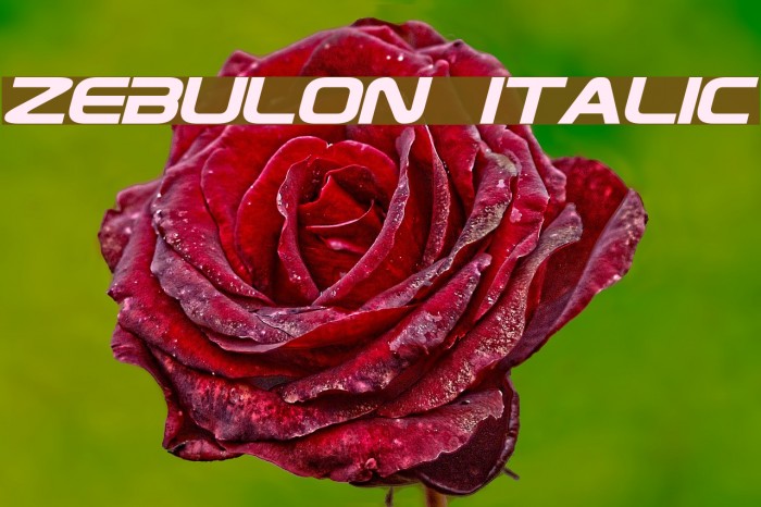 Zebulon Italic Font examples