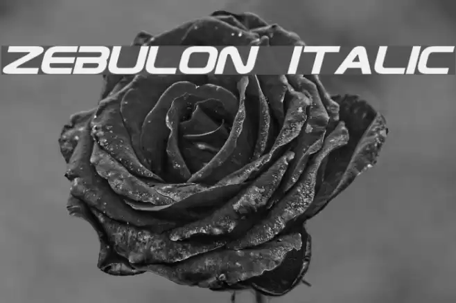Zebulon Italic  examples