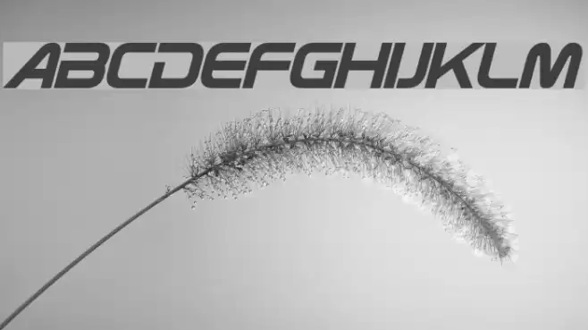 ZebulonCondensed Italic Font examples