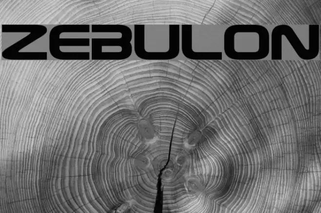 Zebulon Fonte examples