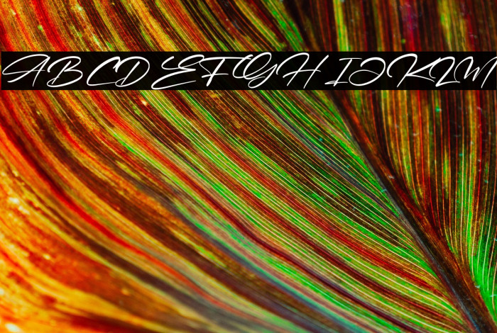 Zebulona Victoria Example 2