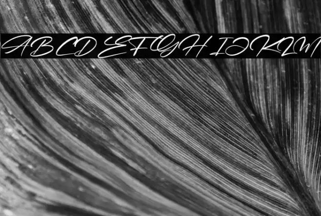 Zebulona Victoria خط examples