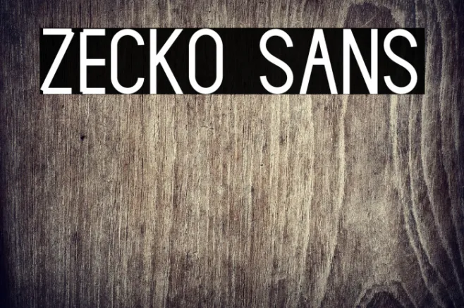 Zecko Sans Example 1