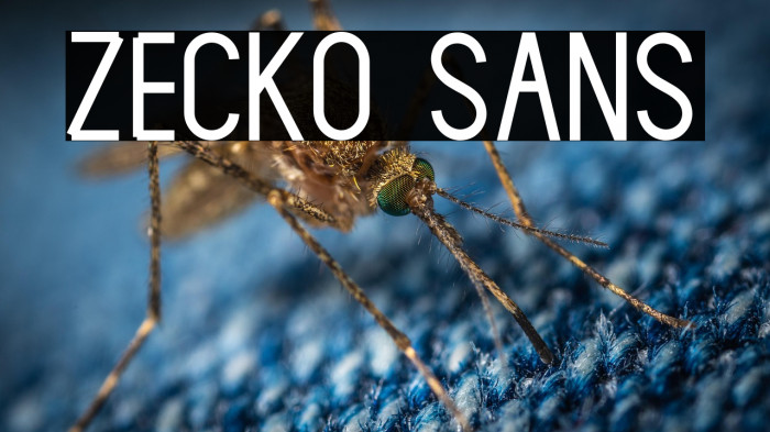 Zecko Sans Example 2