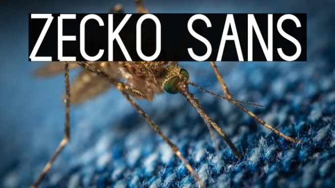 Zecko Sans Example 2