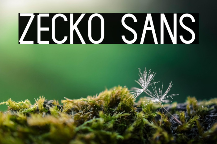 Zecko Sans Example 3