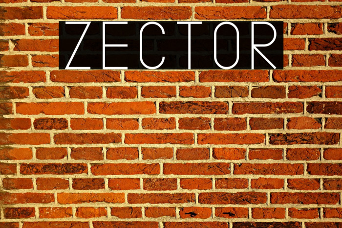 Zector Font examples