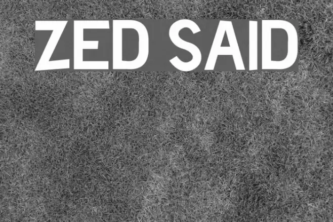 Zed Said Font examples
