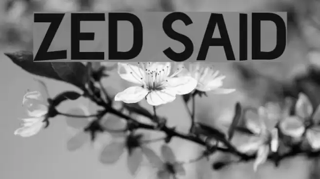 Zed Said Font examples