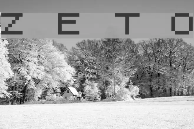 Zedex Eight T One Font examples