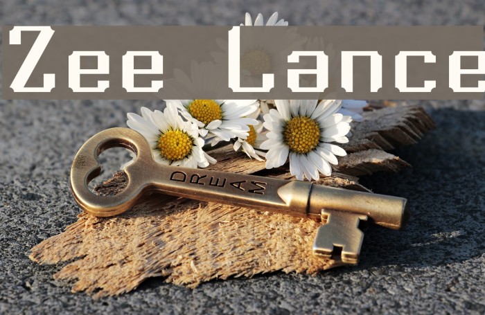 Zee Lance Font examples