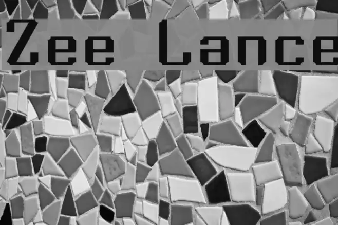 Zee Lance Polices examples