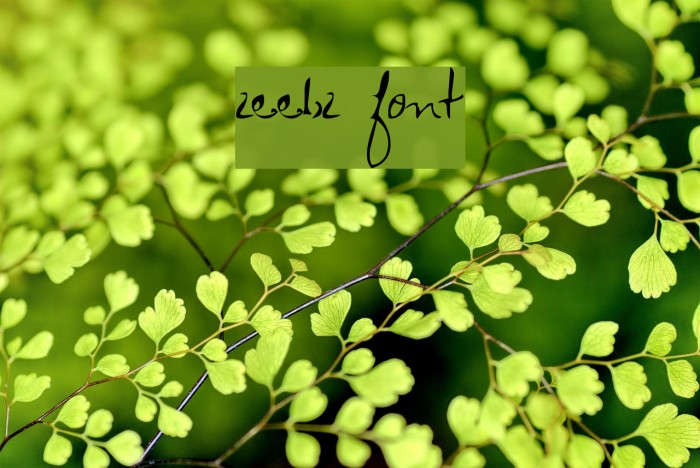Zeebz Font examples
