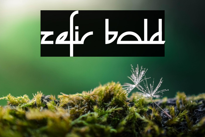 Zefir Bold Example 2