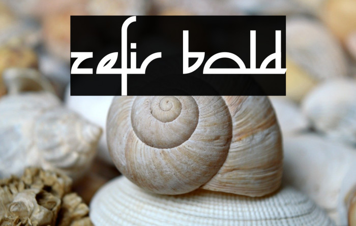 Zefir Bold Example 3