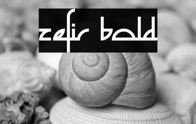 Zefir Bold Font examples