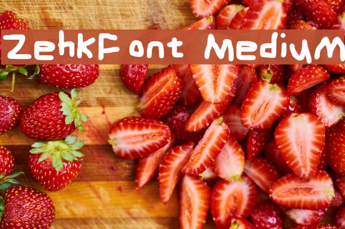 ZehkFont Medium Font examples