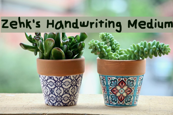 Zehk's Handwriting Medium Font examples