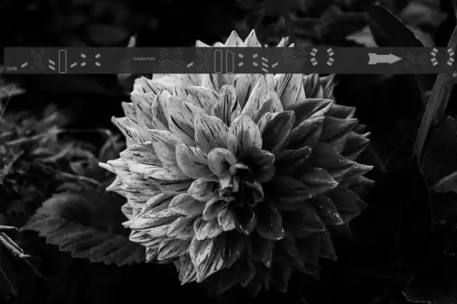 Zeichen Dreihundert Alt Fuentes examples