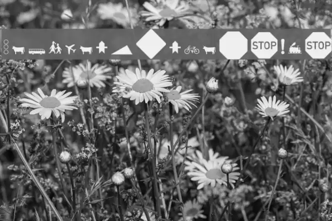 Zeichen Hundert Alt Font examples