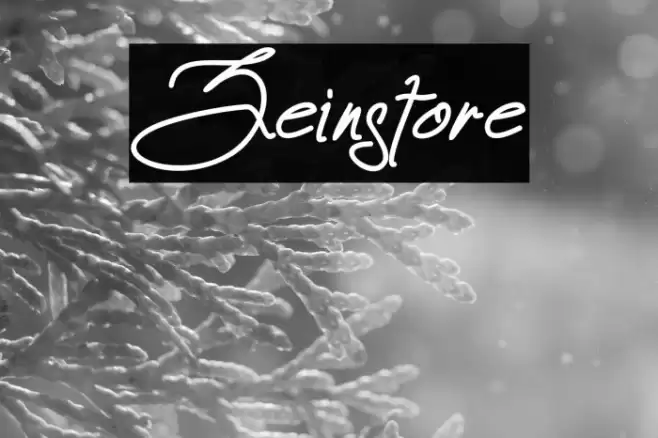 Zeinstore Font examples