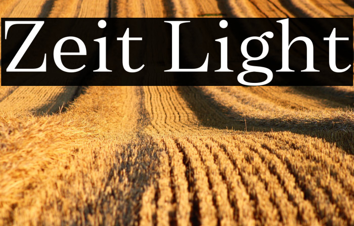 Zeit Light Example 1