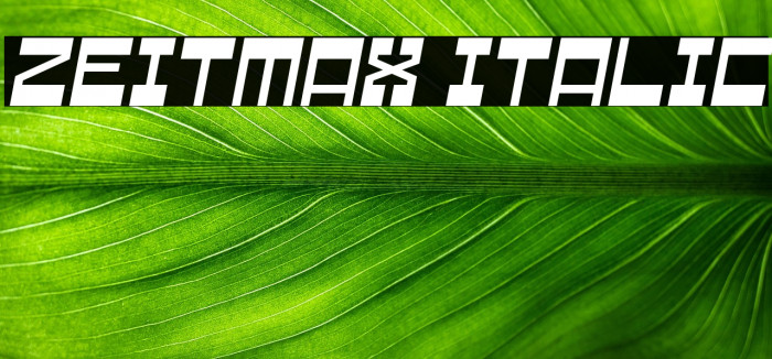 Zeitmax Italic Example 3