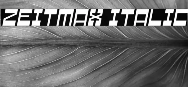 Zeitmax Italic Font examples