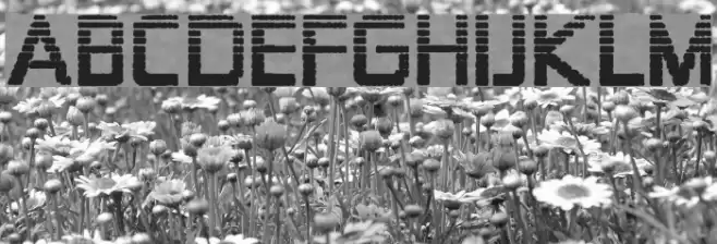 Zekton Dots Polices examples