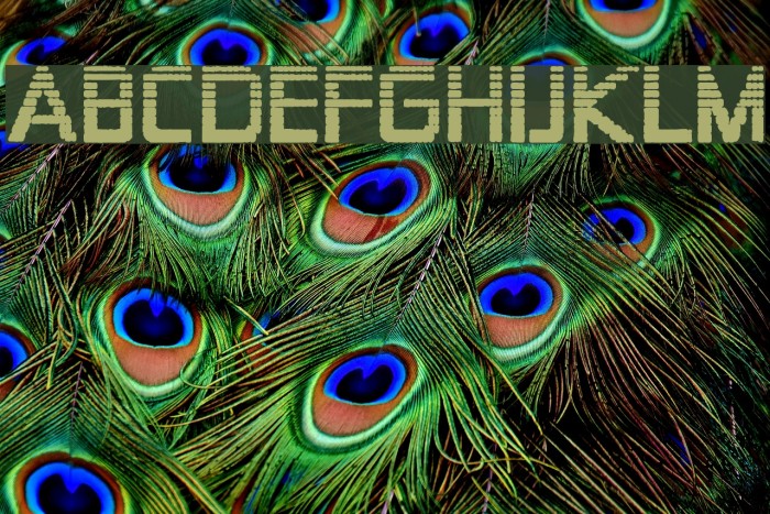 Zekton Dots Font examples