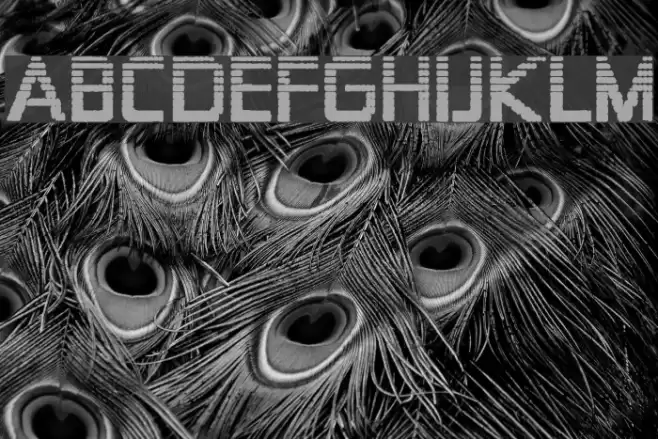 Zekton Dots Polices examples