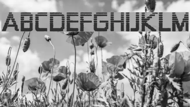 Zekton Dots Polices examples