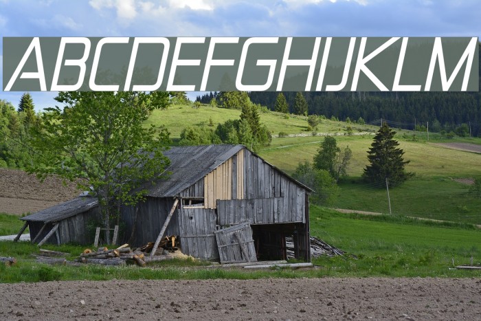 Zekton Italic Font examples