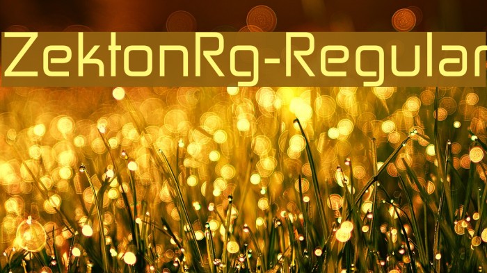 ZektonRg-Regular Шрифта examples
