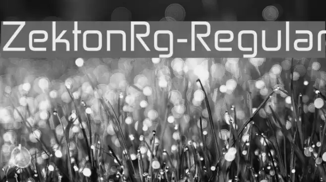ZektonRg-Regular Шрифта examples