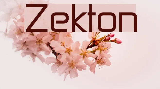 Zekton Example 2