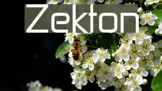 Zekton Example 3