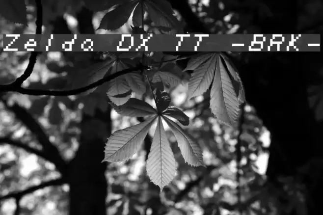 Zelda DX TT -BRK- Font examples