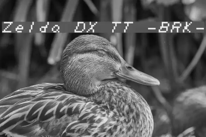 Zelda DX TT -BRK- Font examples