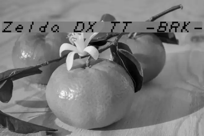 Zelda DX TT -BRK- Font examples