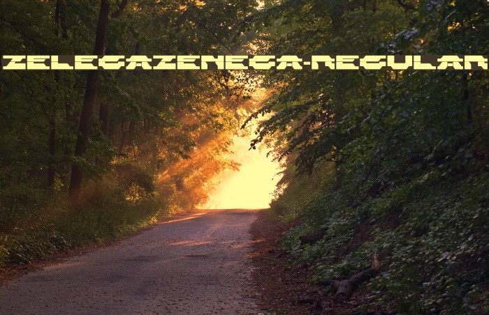 ZelegaZenega-Regular Font examples