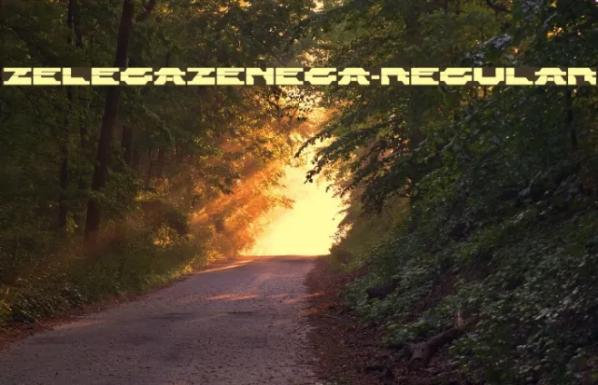 ZelegaZenega-Regular Example 2
