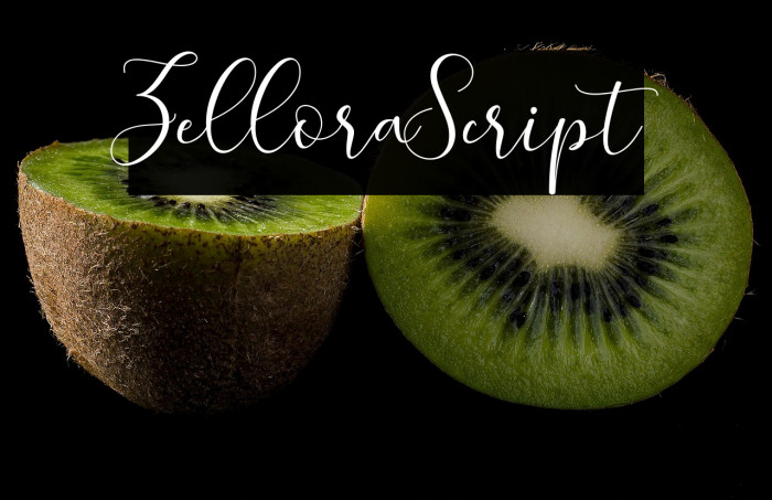 ZelloraScript Example 1