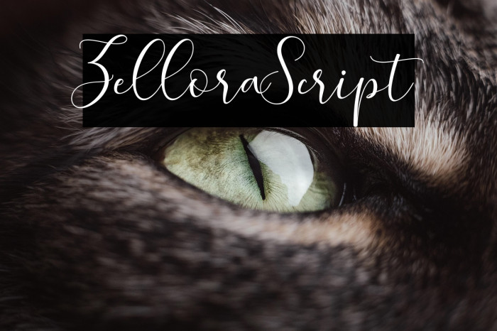 ZelloraScript Example 2