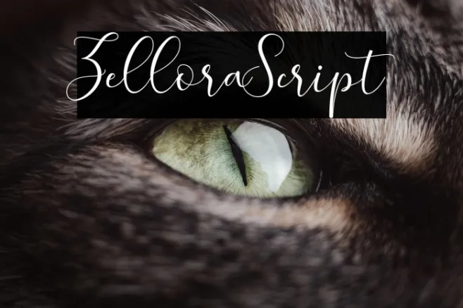ZelloraScript Example 2