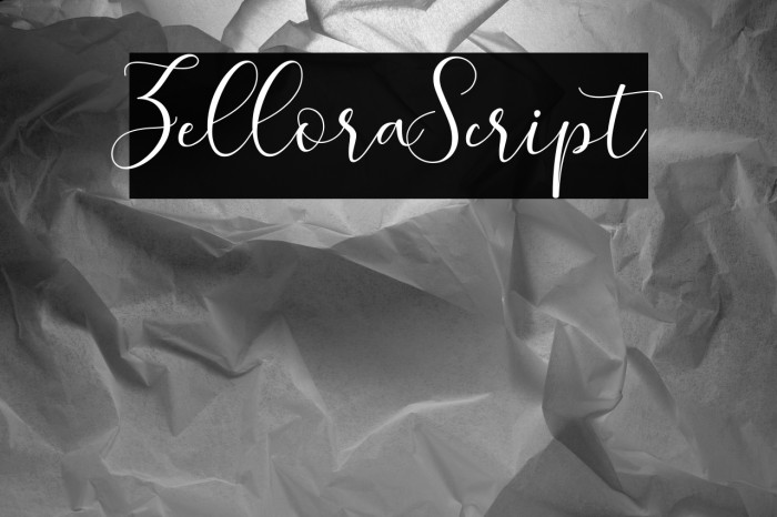 ZelloraScript Example 3