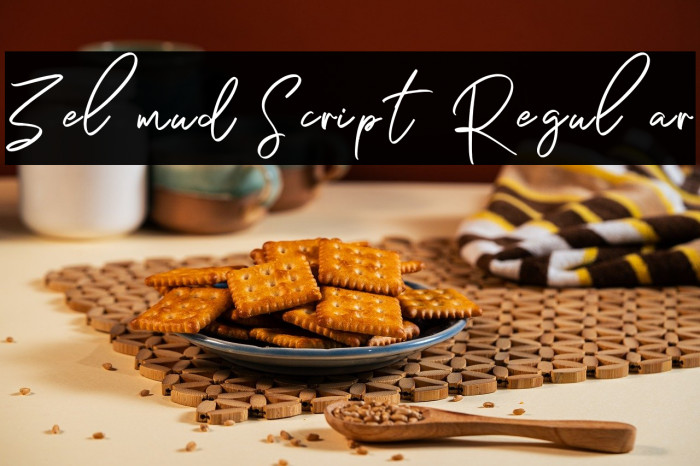 Zelmud Script Regular Example 2