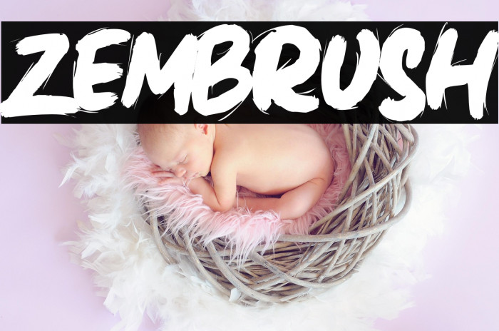 Zembrush Example 2
