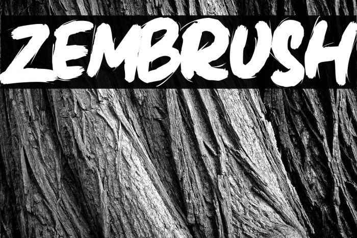Zembrush Example 3